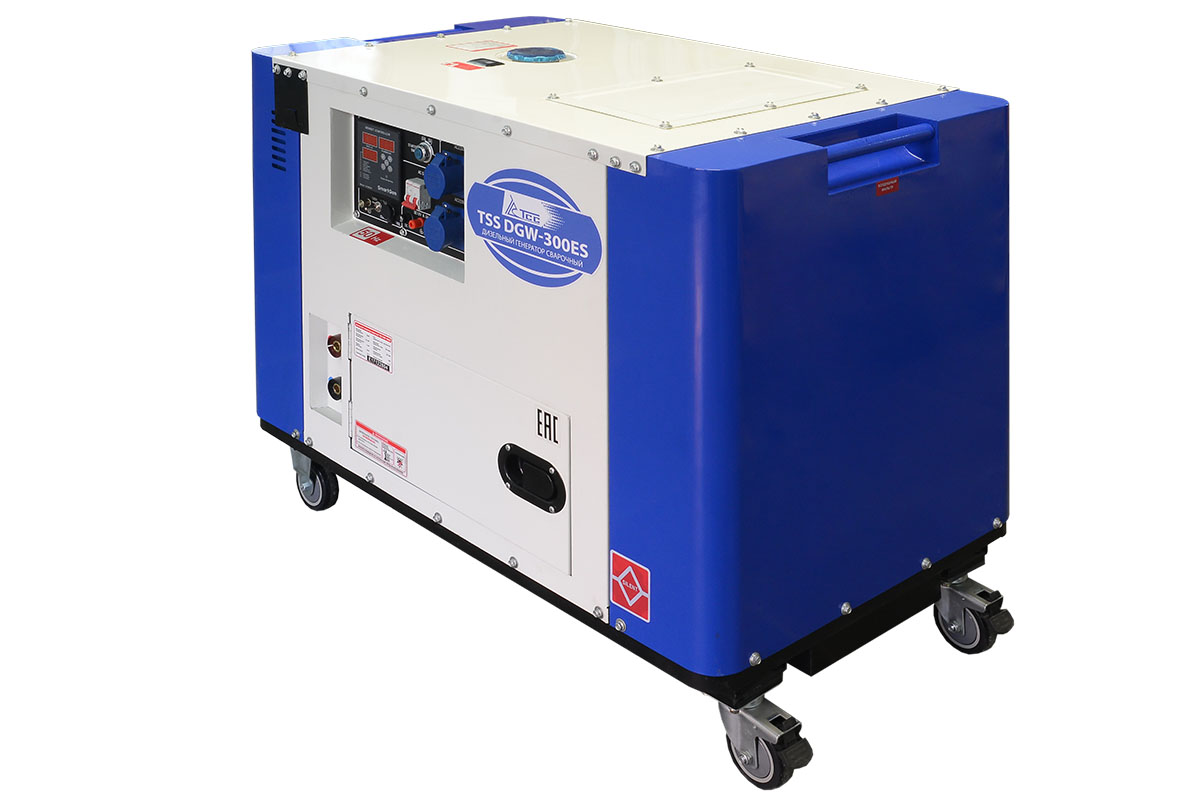 Инверторный сварочный генератор TSS DGW-300ES

